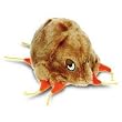 Giant Microbes - Mange (Sarcoptes scabei) Educational Plush Toy