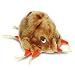 Giant Microbes - Mange (Sarcoptes scabei) Educational Plush Toy
