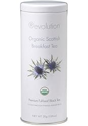 Revolution Tea Scottish Breakfast Tea, Organic, 15-Count Pyramid Teabags (Pack of 6)