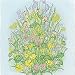 Flowering Lawn Seed Mixture (1 Pkt - 1000 seeds)