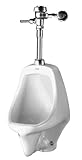 American Standard 6541.132.020 Allbrook Vitreous China 1.0 GPF Urinal, White