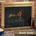 Sentry Premiere Fireplace Glass Door