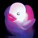 Toys : Flashing LED Rubber Duck