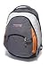 Electronics : JanSport Trinity III Backpack (Cement)