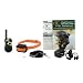 PetSafe Field Trainer Standard