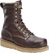 Carolina - Mens - 8 In Steel Toe Broad Toe Wedge