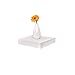 WELLAND Chicago Floating Wall Shelves, 10-inch, Set of 3, White