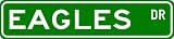 EAGLES Street Sign ~ Personalized Family Lastname Sign ~ Gameroom, Basement, Garage Sign ** ALUMINUM