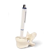 3B Scientific A70/1 Lumbar Penholder