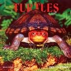 Turtles 2009 Wall Calendar