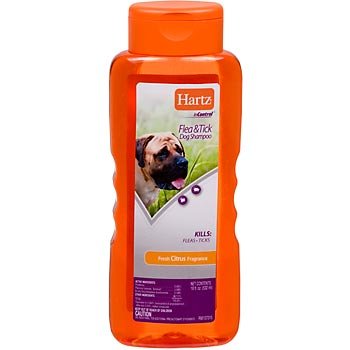 Hartz InControl Flea and Tick Shampoo for Dogs