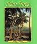 Palm Trees