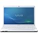 Sony VPCEE25FX-WI 15.5" screen, 320GB hard drive VAIO laptop computer
