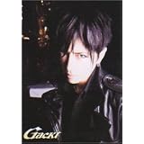Gackt Cloth Wall Scroll Poster YA-134