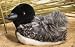 Singing Loon Plush Toy