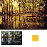 Cokin A047 Filter, A, Gold