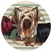 Yorkshire Terrier Dog Absorbastone Coaster Set of 4