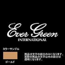 エバーグリーン(EVERGREEN) エバーグリーンボートディカルステッカー ゴールド L