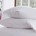Pacific Coast Down Around Queen Pillow Set (2 Queen Pillows)