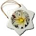 Nipple Cactus flower.(Mammillaria dioica).Anza-Borrego Desert State Park, California - 3 Inch Snowflake Porcelain Ornament