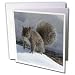 Beverly Turner Photography - Gray Squirrel in the Snow - Greeting Cards-12 Greeting Cards with envelopes