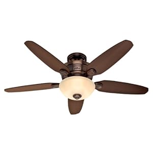 Hunter 28711 Stewart 52-inch 5-blade Single Light Ceiling Fan