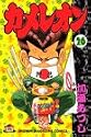 カメレオン 26