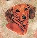 Dachshund Woven Lap Square (Throw Blanket)