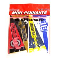 Big 10 Conference Mini Pennant Set