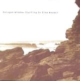 Surfing On Sine Waves