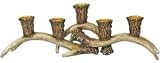 Decorative Deer Antler Candle Holder That Holds 5 Taper Candles 13