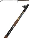 12ft TELESCOPIC ROD 30-60g CW