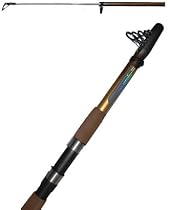 12ft TELESCOPIC ROD 30-60g CW