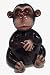 Bobble Head Monkey Piggy Bank - Funny CHIMPANZEE