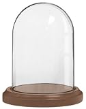 Clear Glass 4X7 Dome And Solid Wood Base Is Perfect For displaying Collectibles In Style