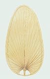 5 Natural Palm Leaf Small Narrow Blades Plan 1