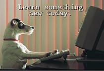 POSTER LEARN SOMETHING NEW TODAY. 13 X 19-1/2