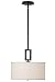 Walcott Pendant, PENDANT, OIL RBBD BRONZE
