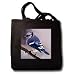 Birds - Blue Jay - Tote Bags