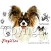 Papillon Womens Scoop Neck T-Shirt