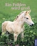 Produkt-Bild: Ein Fohlen wird gro&szlig;