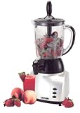 220 Volt (NOT USA COMPLIANT) Nikai Japan Smoothie