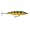Perch