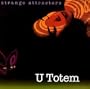 Strange Attractor