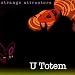 Strange Attractor