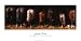 Board of Directors Animals Art Poster Print by Jenness Cortez, 40x20