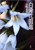 白骨花図鑑