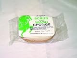 Hydra Sponge Hydra Scrub & Wash Sponge Medium - HSW-2
