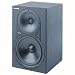 HR824 Studio Monitor (Single)