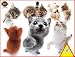 russian blue - Hanadeka Cat - Kittens Puzzle 100 Pieces (Features Russian Blue etc.)